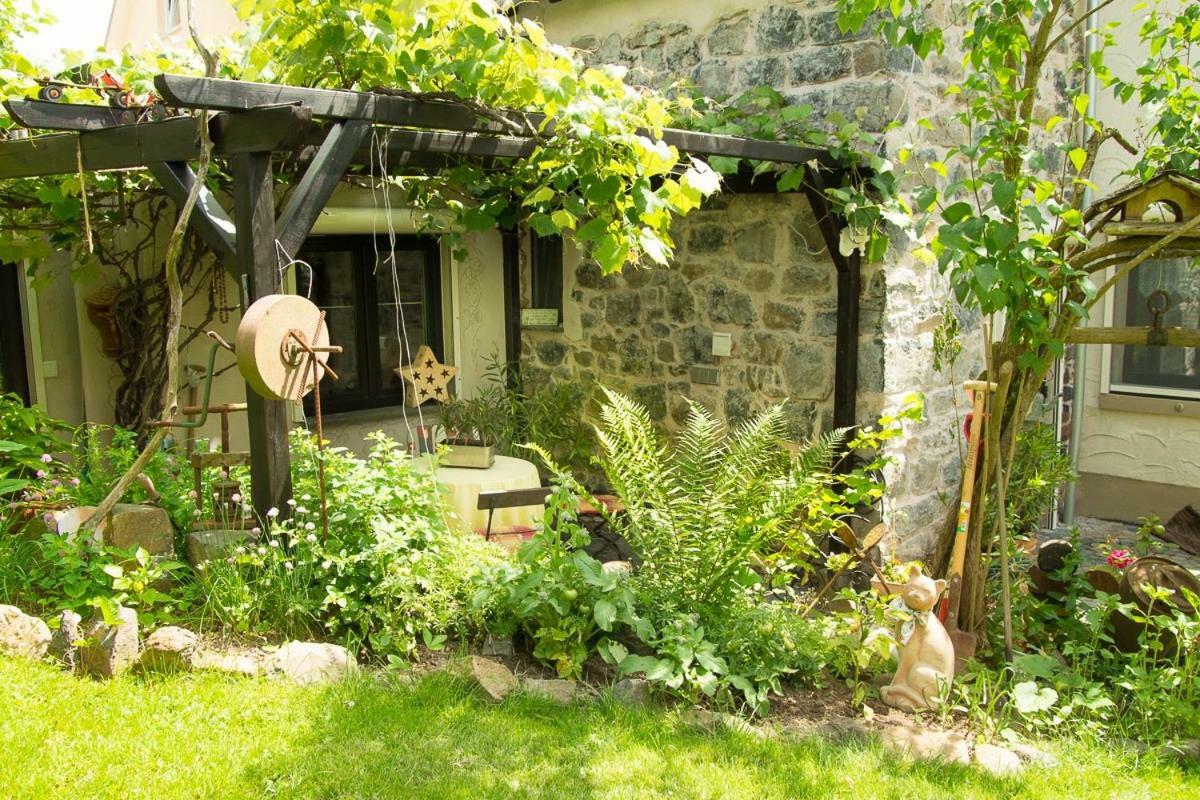Auszeit Flair Der Provence Apartment Hausen  ภายนอก รูปภาพ